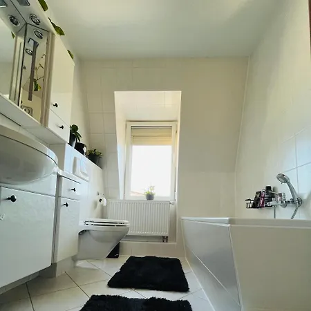 Apartment Modernes Cityapartment Naehe Schloss Pillnitz Dresden