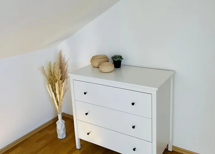 Modernes Cityapartment Naehe Schloss Pillnitz Dresden