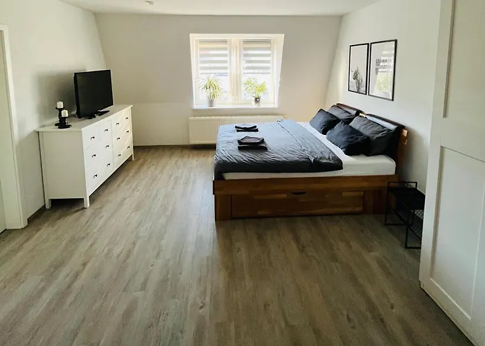 Modernes Cityapartment Naehe Schloss Pillnitz Appartement
