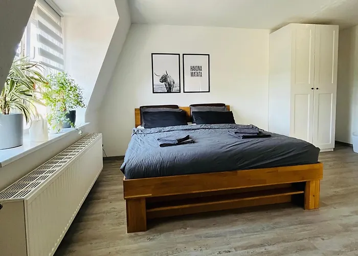 Modernes Cityapartment Naehe Schloss Pillnitz Appartement
