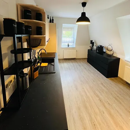 Modernes Cityapartment Naehe Schloss Pillnitz 公寓 德累斯顿