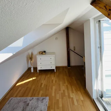 Modernes Cityapartment Naehe Schloss Pillnitz 公寓 德累斯顿